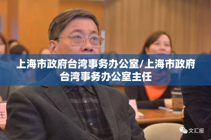 上海市政府台湾事务办公室/上海市政府台湾事务办公室主任