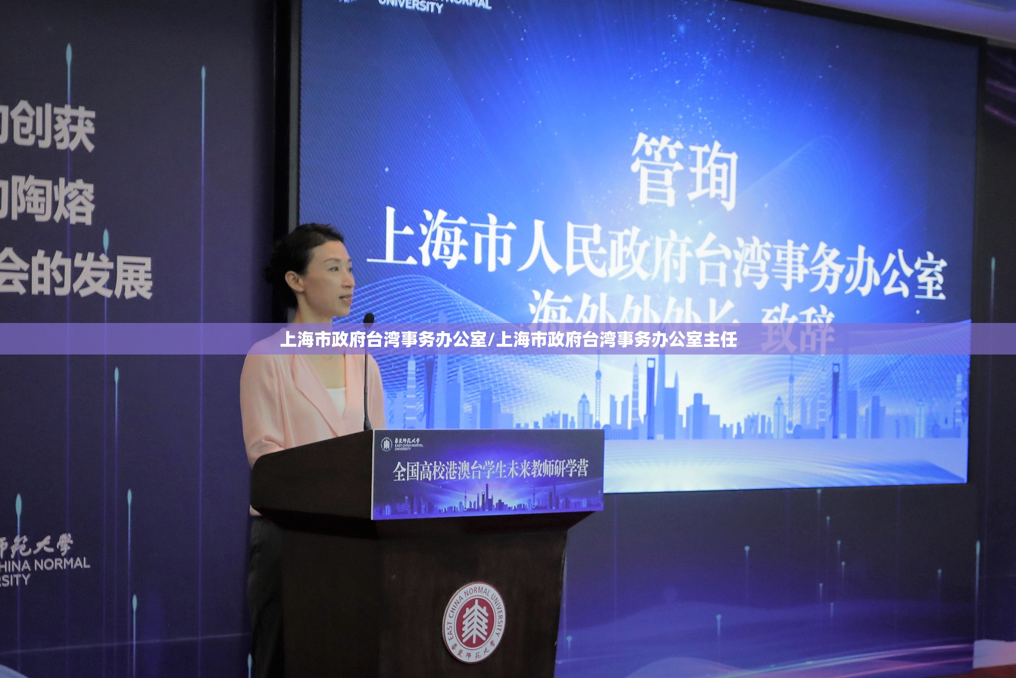 上海市政府台湾事务办公室/上海市政府台湾事务办公室主任