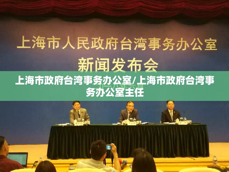 上海市政府台湾事务办公室/上海市政府台湾事务办公室主任
