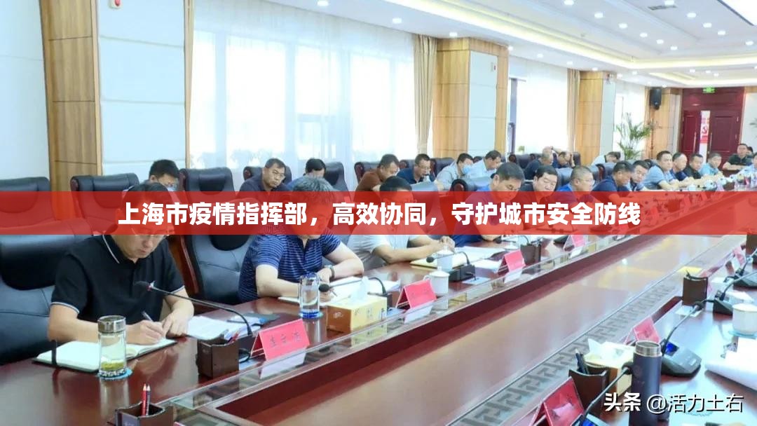 上海市疫情指挥部，高效协同，守护城市安全防线