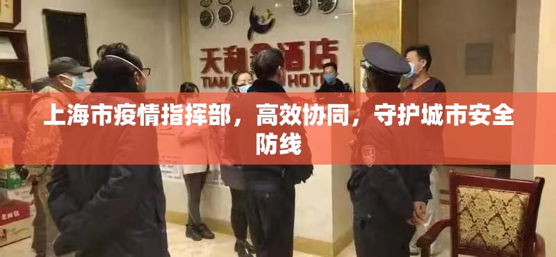 上海市疫情指挥部，高效协同，守护城市安全防线