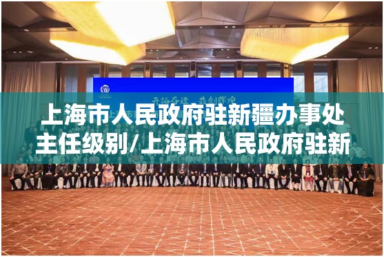 上海市人民政府驻新疆办事处主任级别/上海市人民政府驻新疆办事处主任