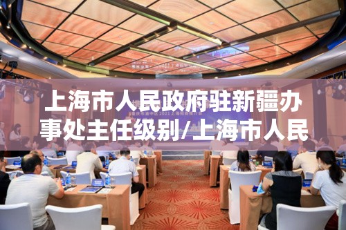 上海市人民政府驻新疆办事处主任级别/上海市人民政府驻新疆办事处主任