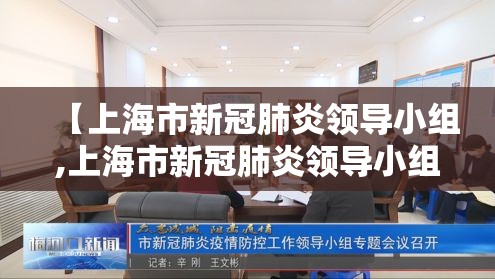 【上海市新冠肺炎领导小组,上海市新冠肺炎领导小组组长】