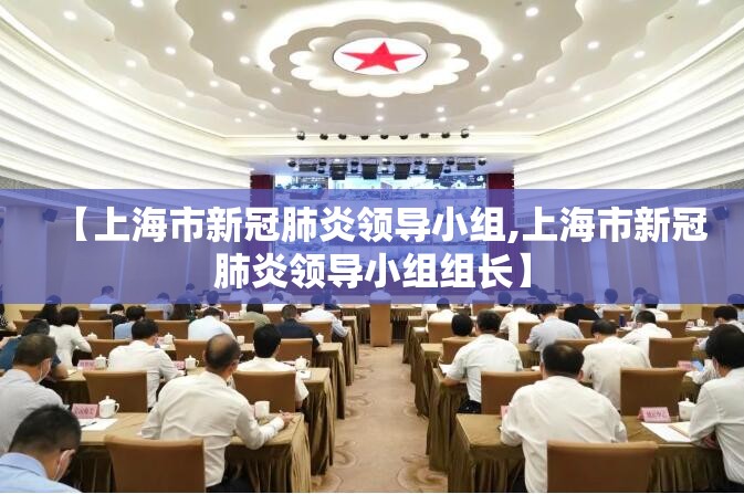 【上海市新冠肺炎领导小组,上海市新冠肺炎领导小组组长】