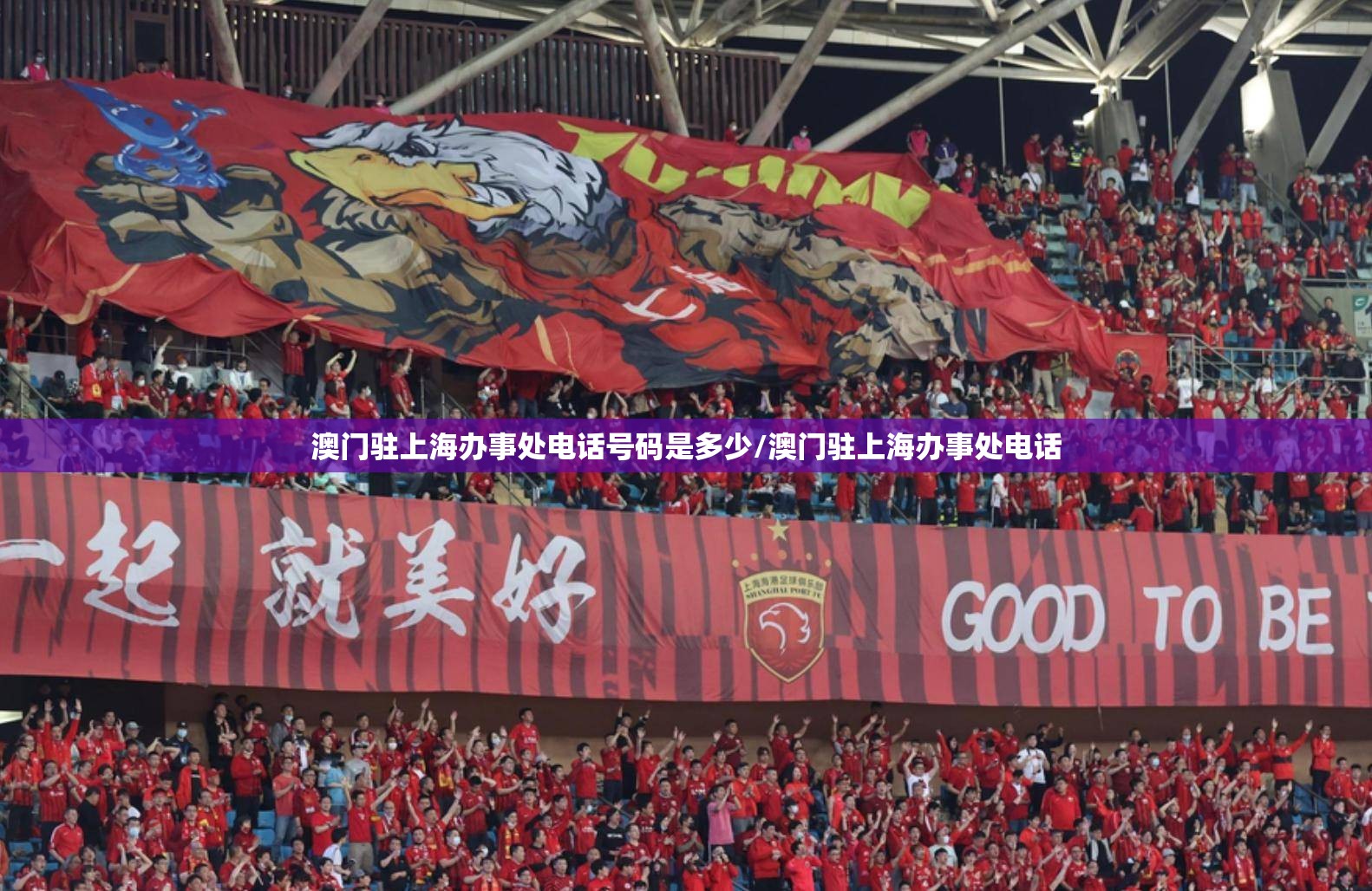 澳门驻上海办事处电话号码是多少/澳门驻上海办事处电话