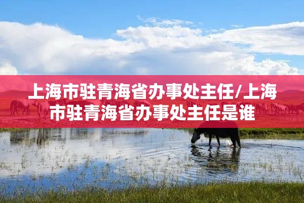上海市驻青海省办事处主任/上海市驻青海省办事处主任是谁