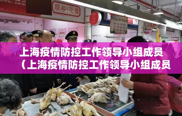 上海疫情防控工作领导小组成员（上海疫情防控工作领导小组成员通告）