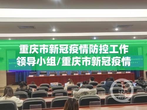 重庆市新冠疫情防控工作领导小组/重庆市新冠疫情防控工作领导小组组长