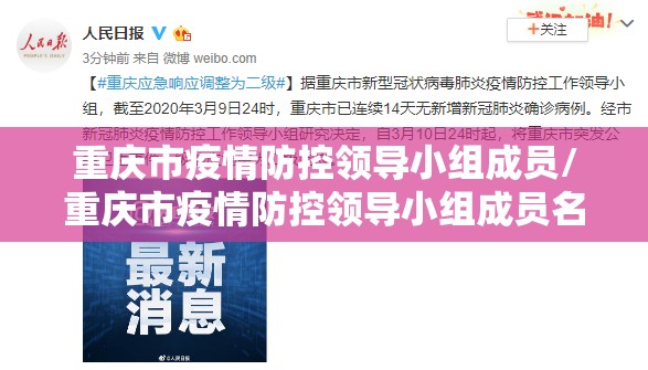 重庆市疫情防控领导小组成员/重庆市疫情防控领导小组成员名单