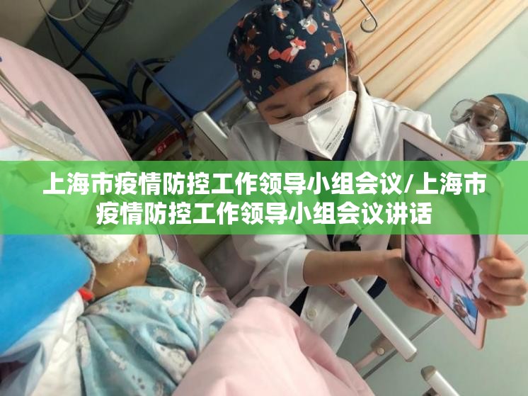 上海市疫情防控工作领导小组会议/上海市疫情防控工作领导小组会议讲话