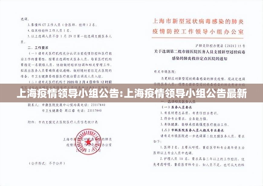 上海疫情领导小组公告:上海疫情领导小组公告最新