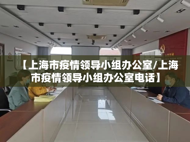 【上海市疫情领导小组办公室/上海市疫情领导小组办公室电话】
