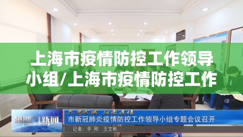 上海市疫情防控工作领导小组/上海市疫情防控工作领导