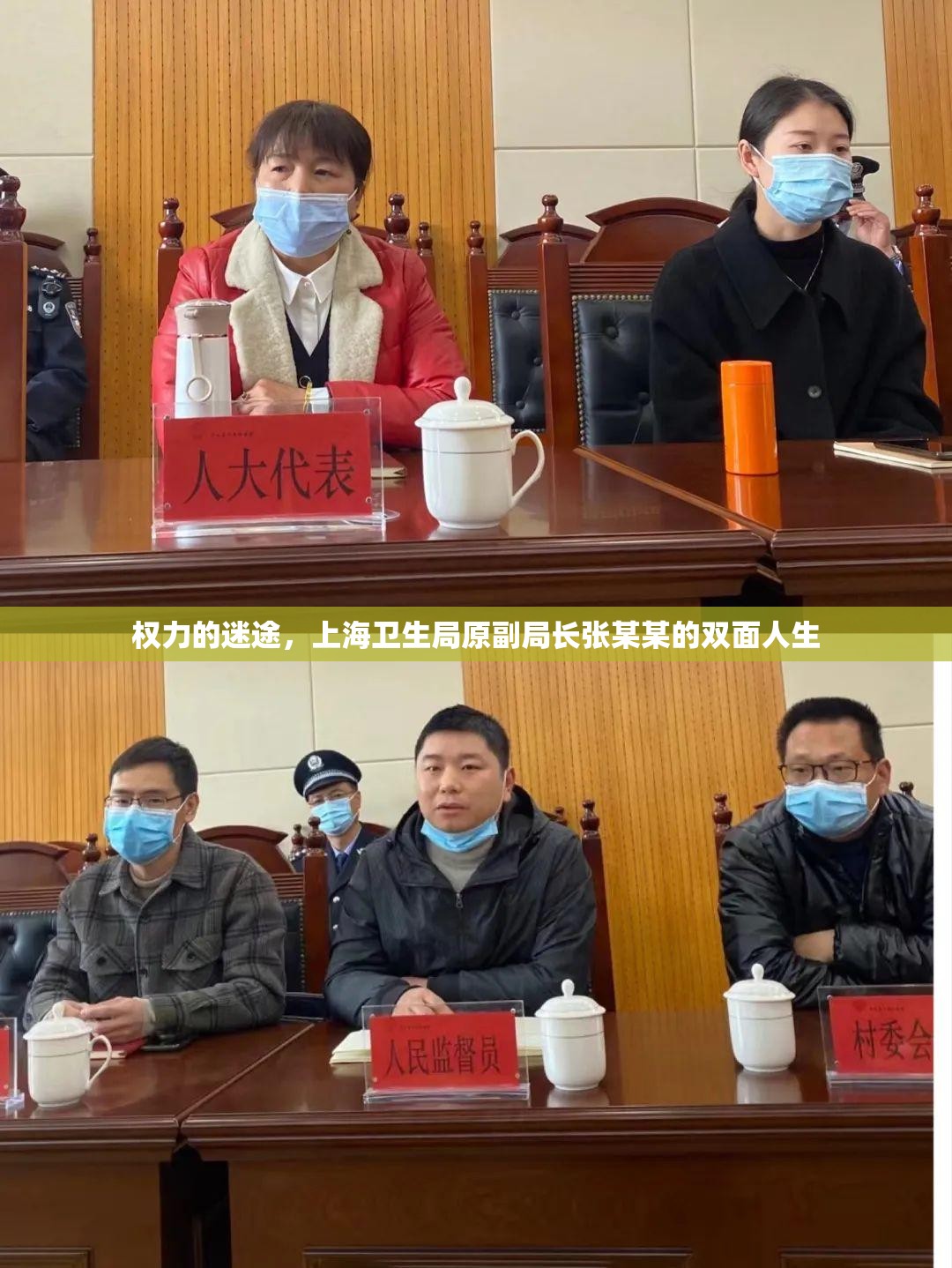 权力的迷途，上海卫生局原副局长张某某的双面人生