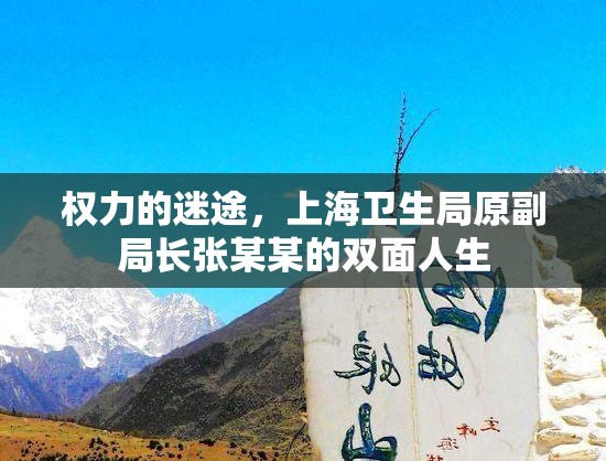 权力的迷途，上海卫生局原副局长张某某的双面人生
