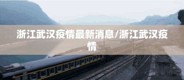 浙江武汉疫情最新消息/浙江武汉疫情