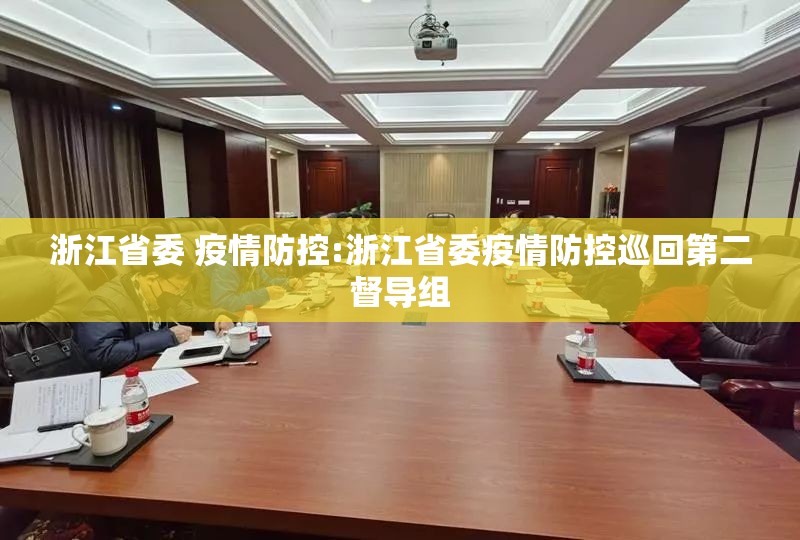 浙江省委 疫情防控:浙江省委疫情防控巡回第二督导组