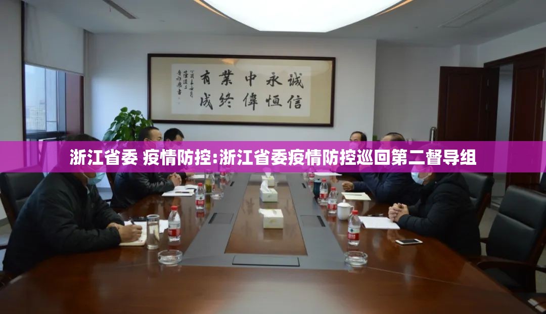 浙江省委 疫情防控:浙江省委疫情防控巡回第二督导组