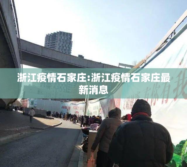 浙江疫情石家庄:浙江疫情石家庄最新消息