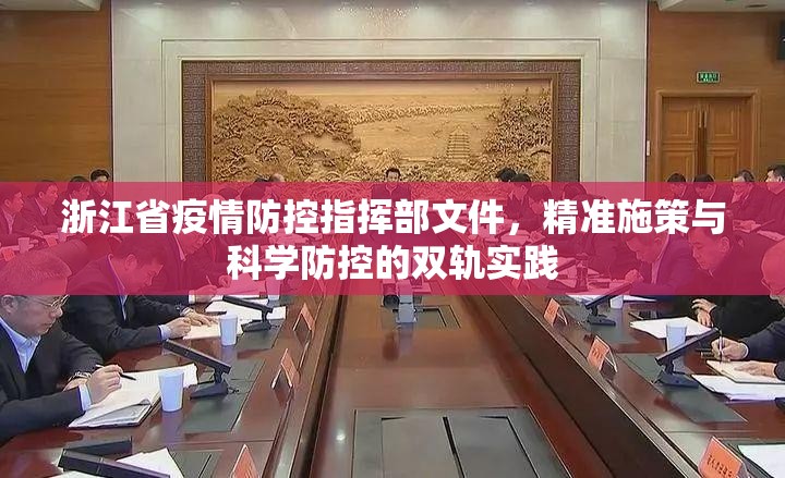 浙江省疫情防控指挥部文件，精准施策与科学防控的双轨实践