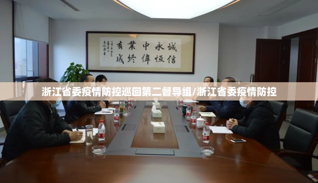 浙江省委疫情防控巡回第二督导组/浙江省委疫情防控