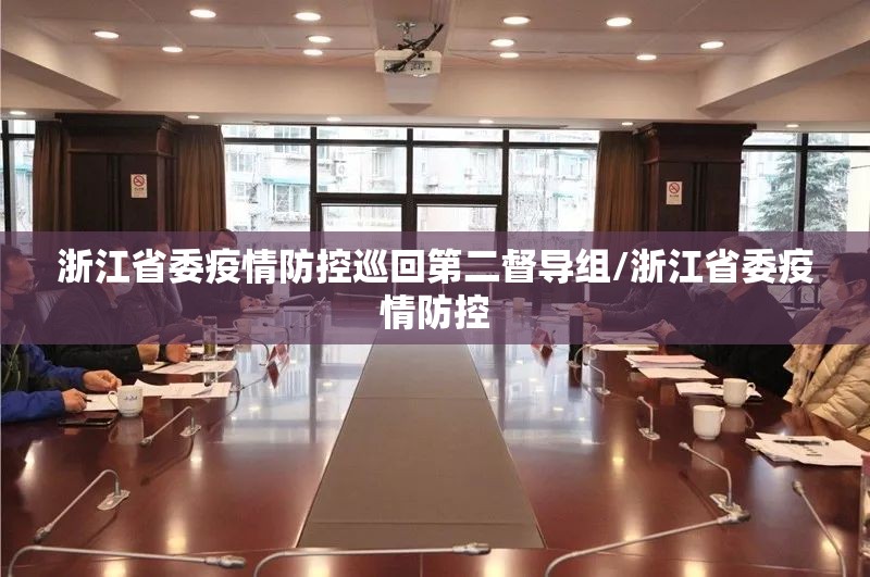 浙江省委疫情防控巡回第二督导组/浙江省委疫情防控