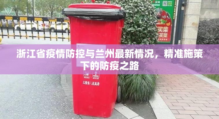 浙江省疫情防控与兰州最新情况，精准施策下的防疫之路