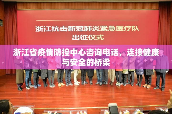 浙江省疫情防控中心咨询电话，连接健康与安全的桥梁