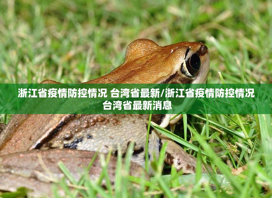 浙江省疫情防控情况 台湾省最新/浙江省疫情防控情况 台湾省最新消息
