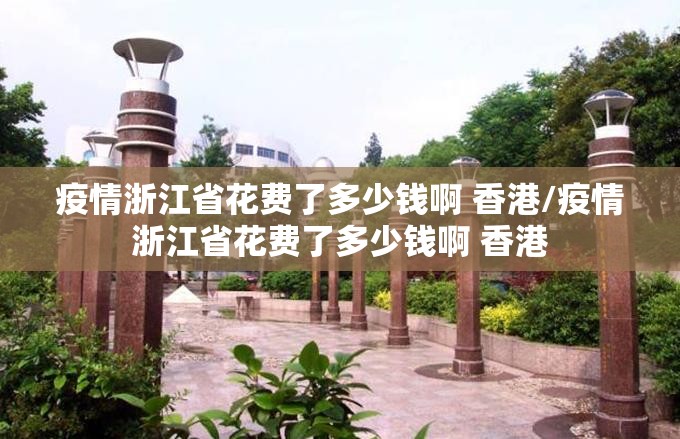 疫情浙江省花费了多少钱啊 香港/疫情浙江省花费了多少钱啊 香港