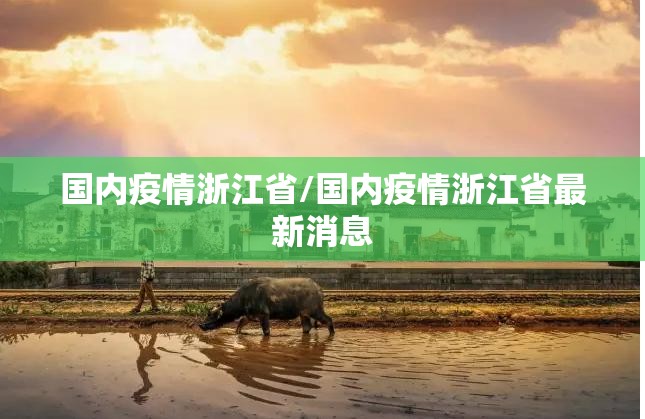 国内疫情浙江省/国内疫情浙江省最新消息