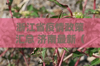 浙江省疫情政策汇总 济南最新（浙江省疫情政策汇总 济南最新消息）