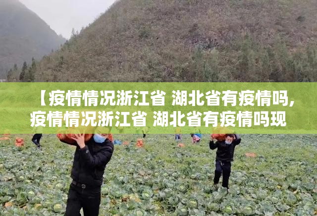 【疫情情况浙江省 湖北省有疫情吗,疫情情况浙江省 湖北省有疫情吗现在】