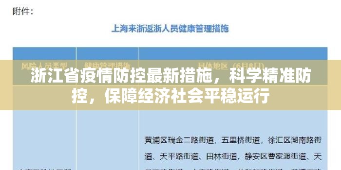 浙江省疫情防控最新措施，科学精准防控，保障经济社会平稳运行