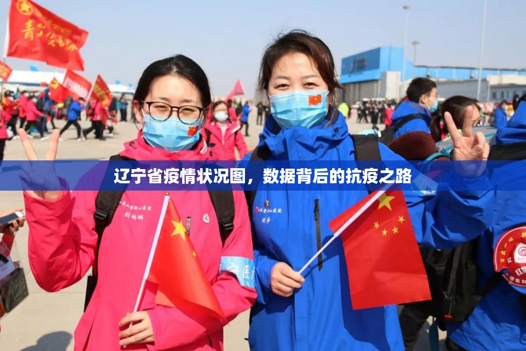 辽宁省疫情状况图，数据背后的抗疫之路