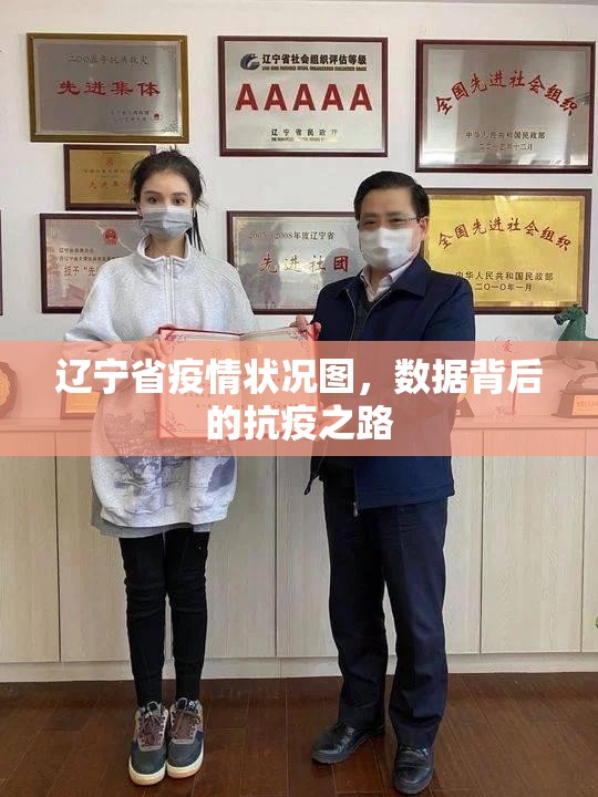 辽宁省疫情状况图，数据背后的抗疫之路