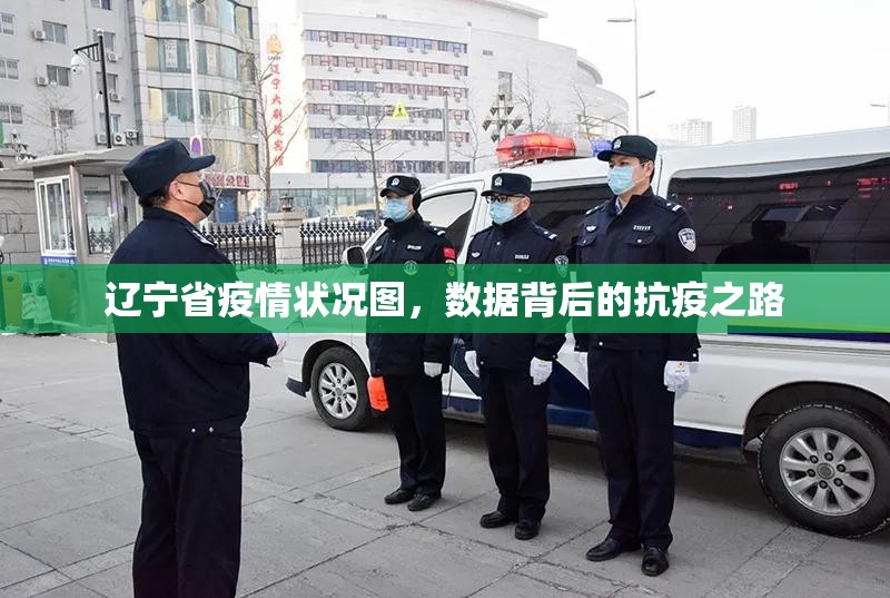 辽宁省疫情状况图，数据背后的抗疫之路