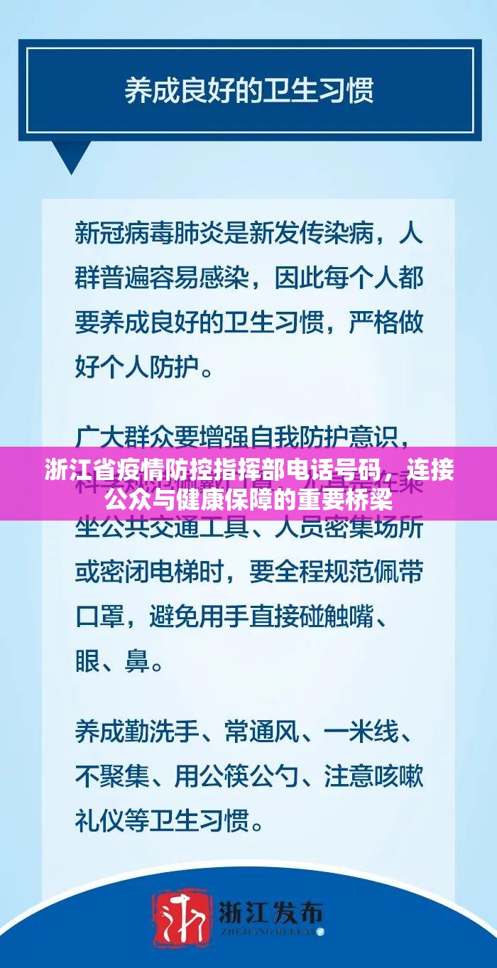 浙江省疫情防控指挥部电话号码，连接公众与健康保障的重要桥梁