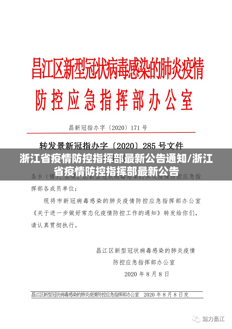 浙江省疫情防控指挥部最新公告通知/浙江省疫情防控指挥部最新公告