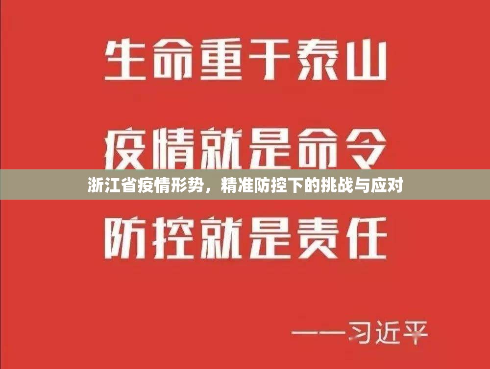 浙江省疫情形势，精准防控下的挑战与应对