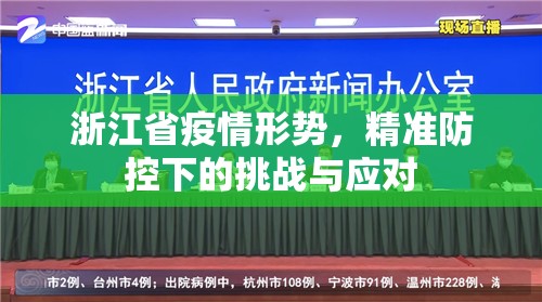 浙江省疫情形势，精准防控下的挑战与应对