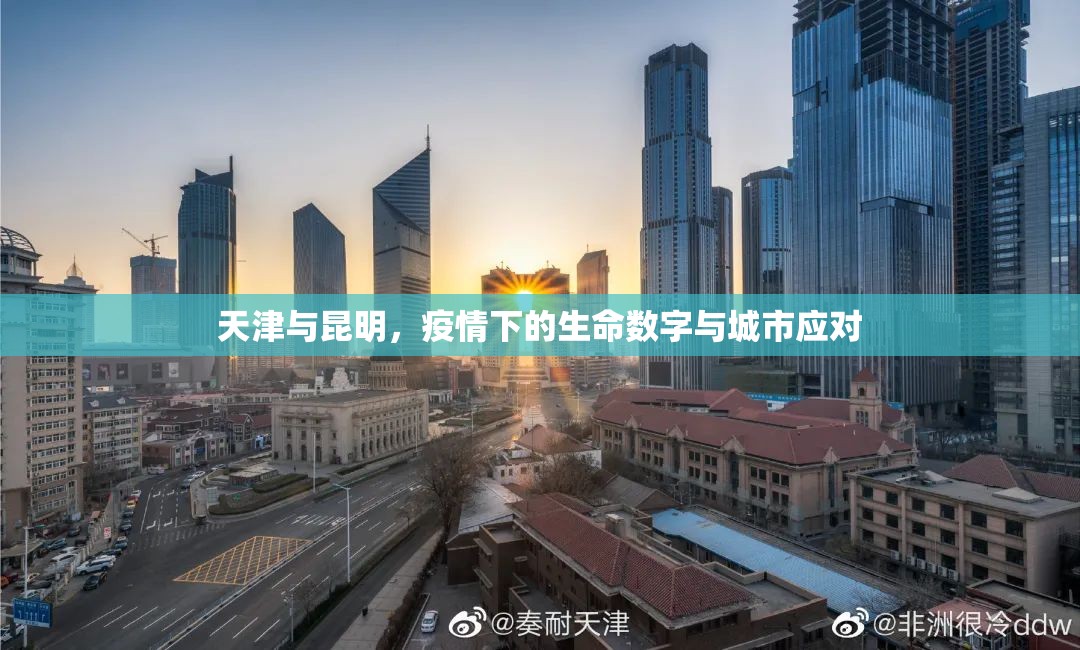 天津与昆明，疫情下的生命数字与城市应对