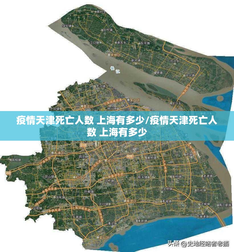 疫情天津死亡人数 上海有多少/疫情天津死亡人数 上海有多少
