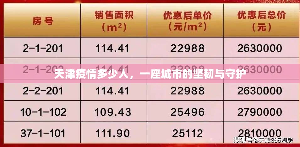 天津疫情多少人，一座城市的坚韧与守护