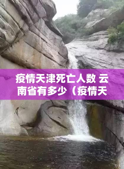 疫情天津死亡人数 云南省有多少（疫情天津死亡人数 云南省有多少）