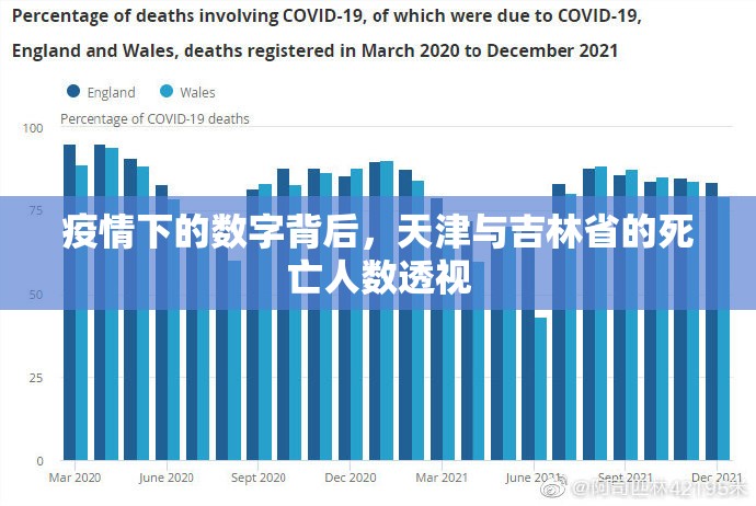 疫情下的数字背后，天津与吉林省的死亡人数透视