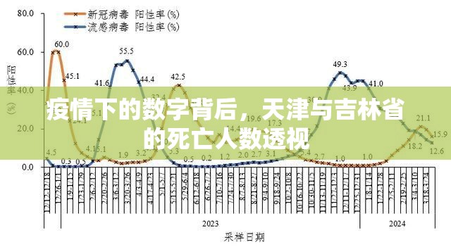 疫情下的数字背后，天津与吉林省的死亡人数透视