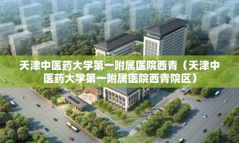 天津中医药大学第一附属医院西青（天津中医药大学第一附属医院西青院区）