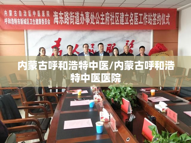 内蒙古呼和浩特中医/内蒙古呼和浩特中医医院